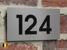 Load image into Gallery viewer, Naamplaat AL-NR5