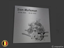 Load image into Gallery viewer, Gedenkplaat Wilson