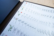 Charger l'image dans la galerie, Inox gekleurde bloem SA501