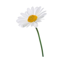 Charger l'image dans la galerie, Inox gekleurde bloem SA 500