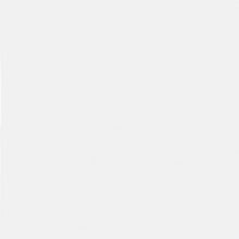 Charger l'image dans la galerie, Inox of kleur Aronskelk 80