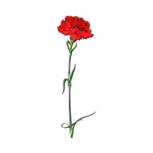 Load image into Gallery viewer, Inox gekleurde bloem SA501
