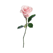 Load image into Gallery viewer, Inox gekleurde bloem SA505
