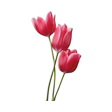 Load image into Gallery viewer, Inox gekleurde bloem SA508

