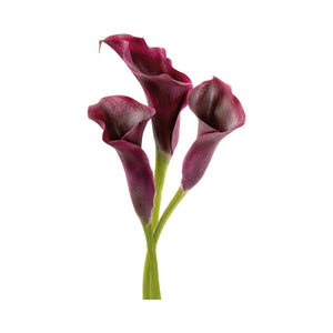 Inox gekleurde bloem SA516