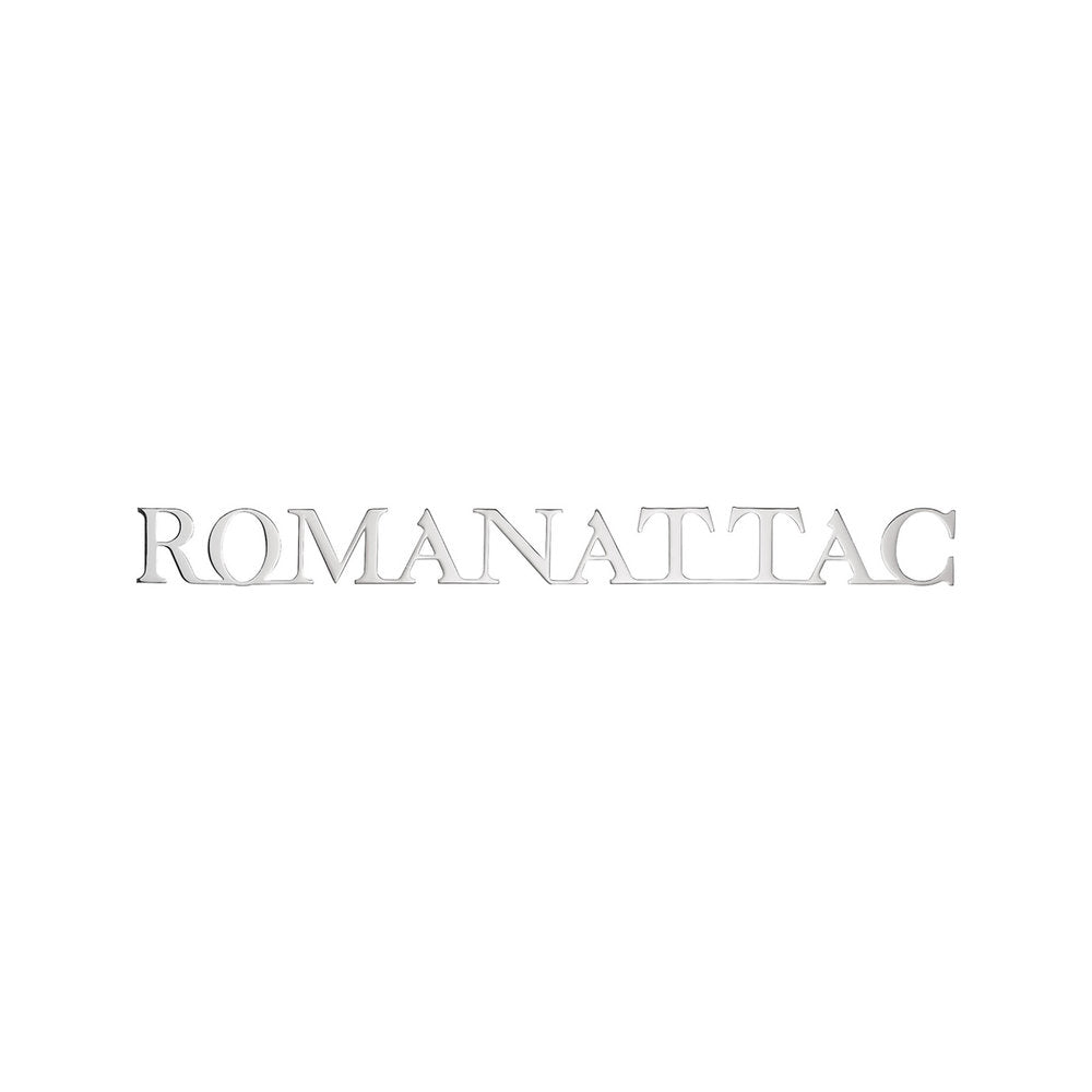 Verbonden inox letters Romanattac  H 15mm, D 2mm
