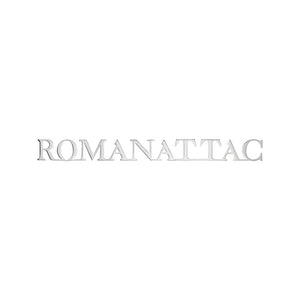 Verbonden inox letters Romanattac  H 50mm, D 2mm
